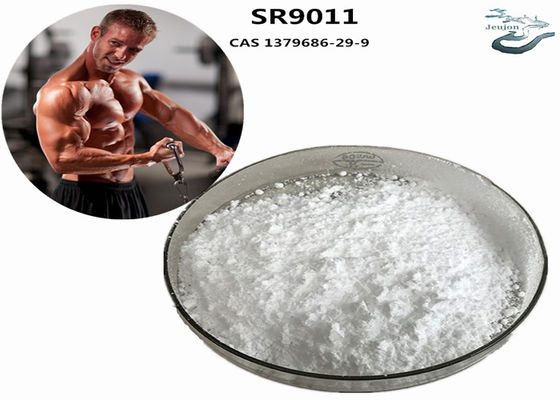 SR9011 Sarms Fat Burning Gym Powder CAS 1379686-29-9 Bodybuilding Supplement