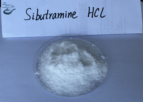 Pharmaceutical Raw Materials Burn Fat White Crystalline Powder Sibutramin Hydrochloride CAS 84485-00-7