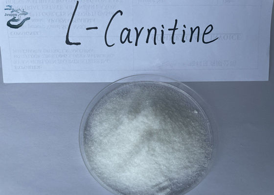 Pharmaceutical Raw Materials L-Carnitine Powder CAS 541-15-1 For Fat Burner